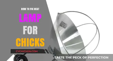 Quick Fixes for Your Chick Heat Lamp: A Step-by-Step Guide