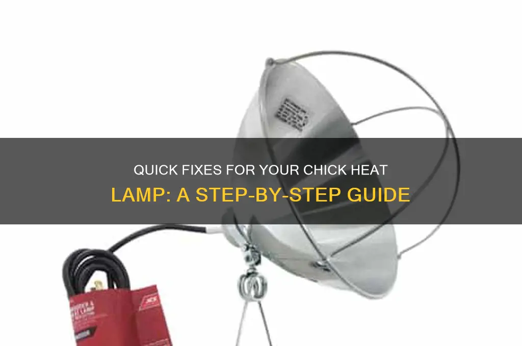how to fix heat lamp for chicks
