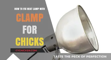 Fixing Heat Lamps: A Guide for Chick Owners
