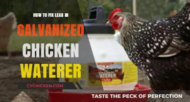 Quick Fixes for Leaky Galvanized Chicken Waterers: DIY Repair Guide