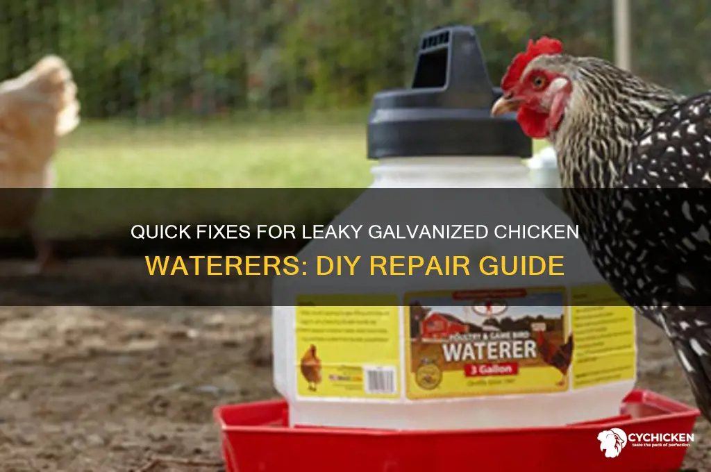 how to fix leak in galvanized chicken waterer