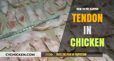 Effective Ways to Treat and Heal a Slipped Tendon in Chickens
