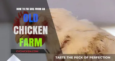 Revitalizing Soil: Healing Chicken Farm Land