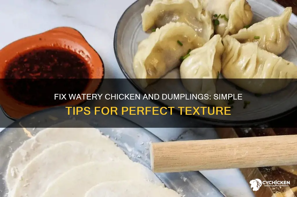 how to fix watery chicken and dumplings