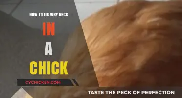 Effective Remedies for Correcting Wry Neck in Chicks: A Step-by-Step Guide