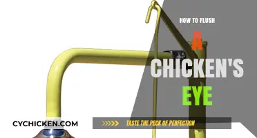 Gentle Eye Care: How to Safely Flush a Chicken's Eye