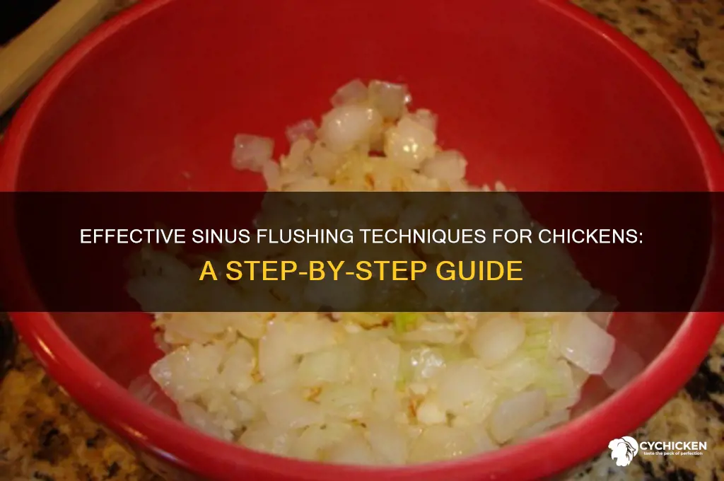 how to flush the sinus of a chicken
