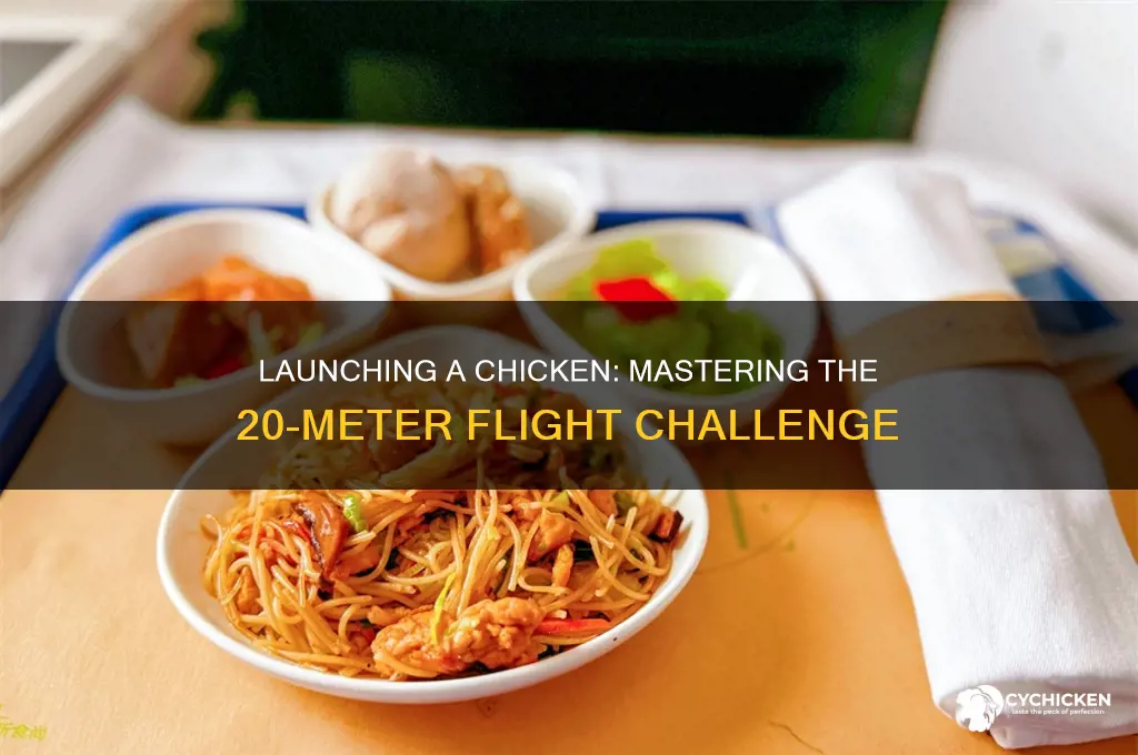 how to fly 20 meters with a chicken