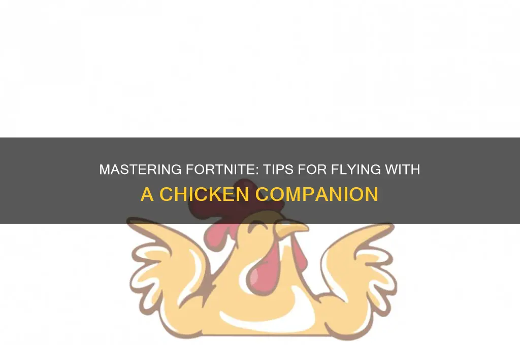 how to fly with a chicken on fortnite