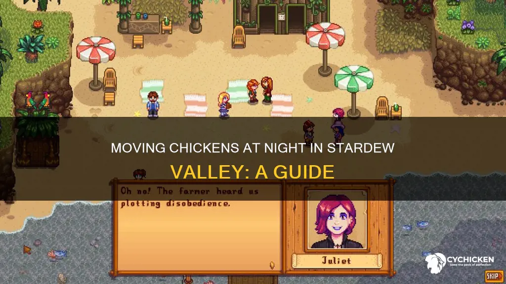 how to force chicken to move stardew at night