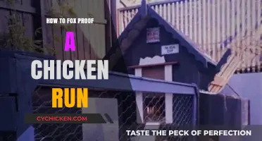 Secure Your Flock: Effective Ways to Fox-Proof Your Chicken Run