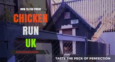 Secure Your UK Chicken Run: Effective Fox-Proofing Strategies for Peace of Mind