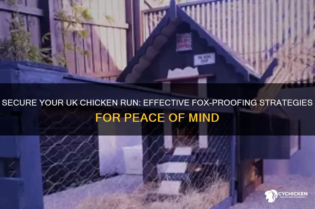 how to fox proof chicken run uk