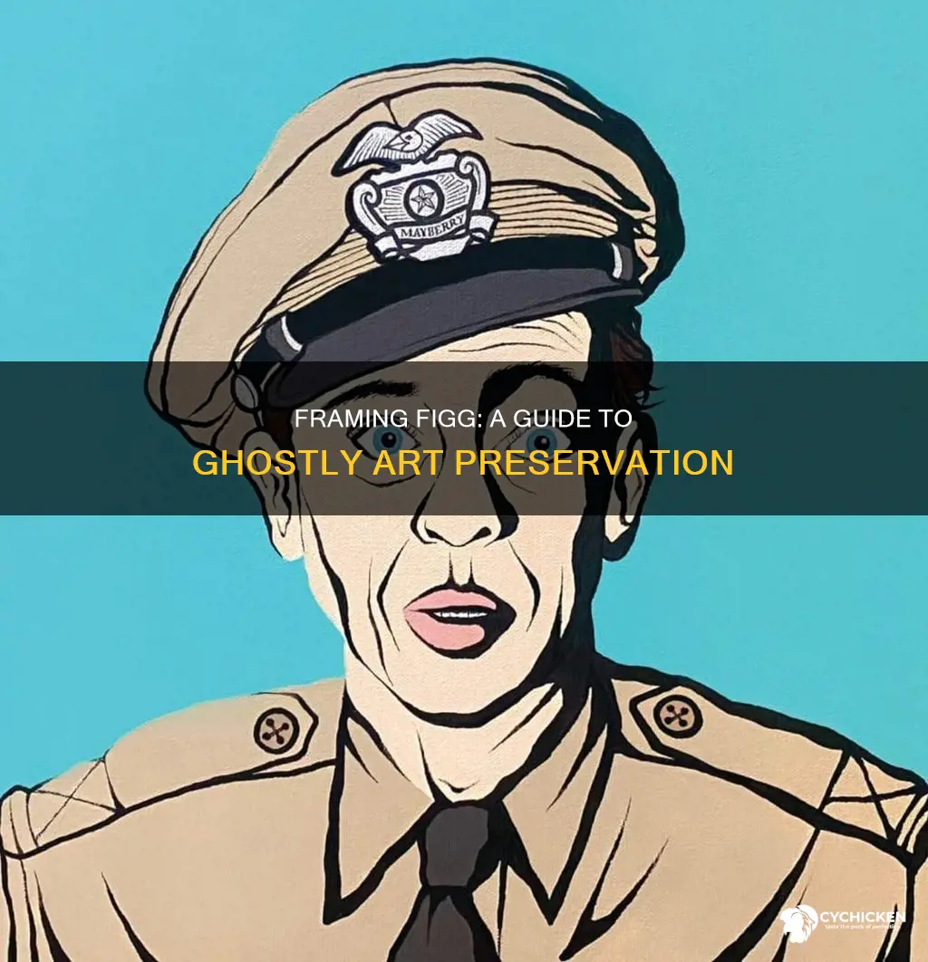 how to frame a figg the ghost and mr chicken
