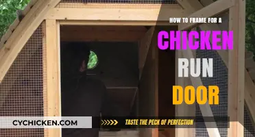 Building a Secure Chicken Run Door: Easy Framing Guide
