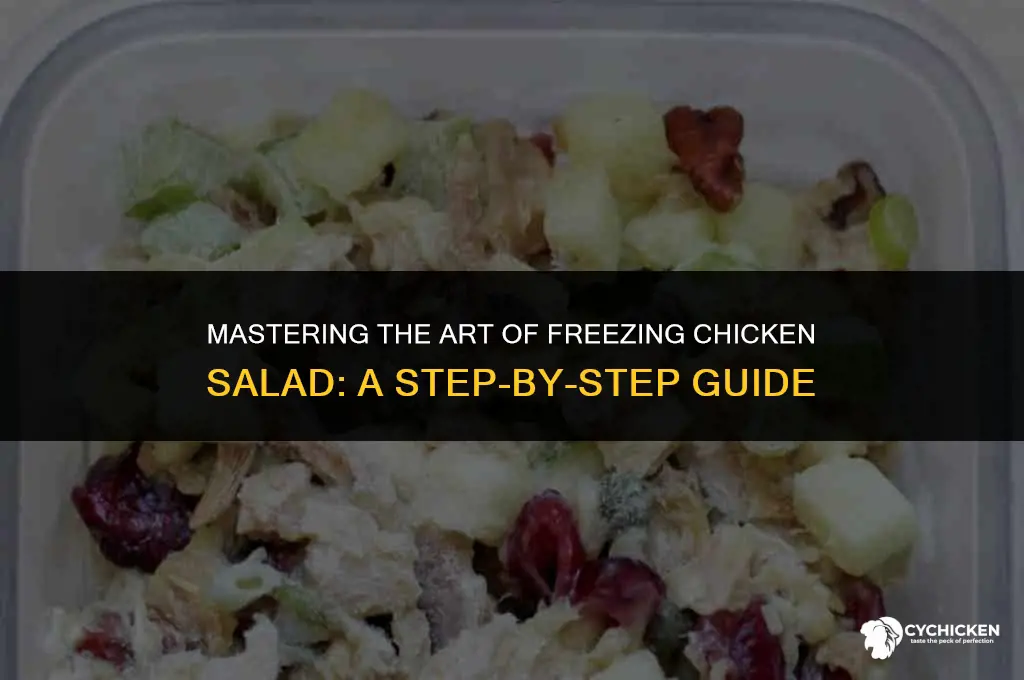 how to freeze chicken sala