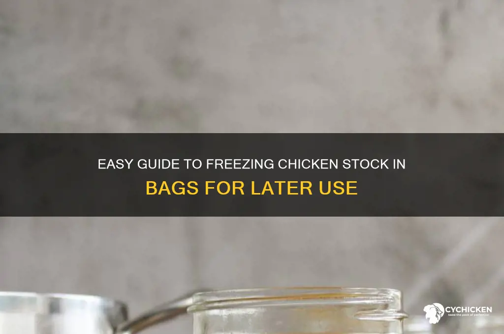how to freeze chicken stock in bags