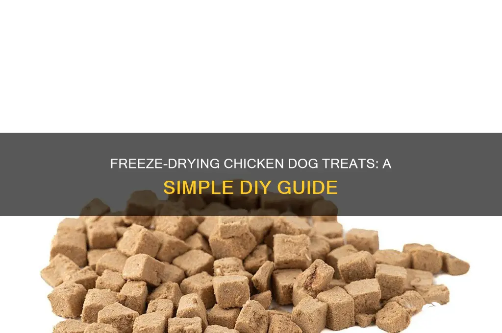 how to freeze dry chicken dog treats