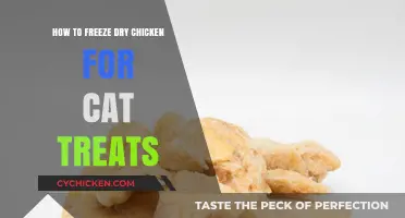 Freeze-Drying Chicken for Cat Treats: A Simple DIY Guide