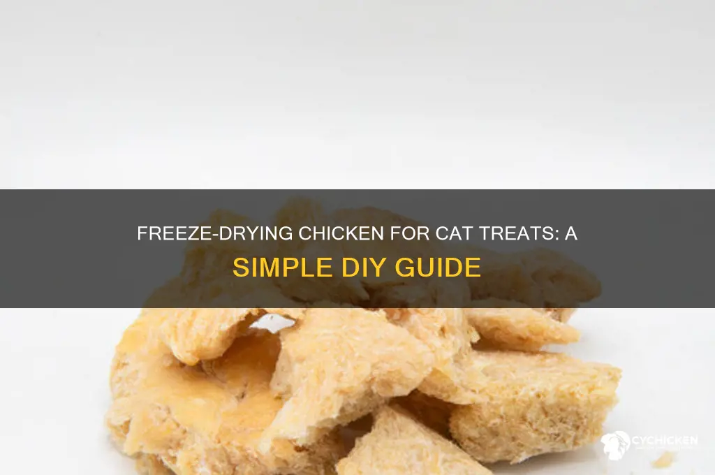how to freeze dry chicken for cat treats