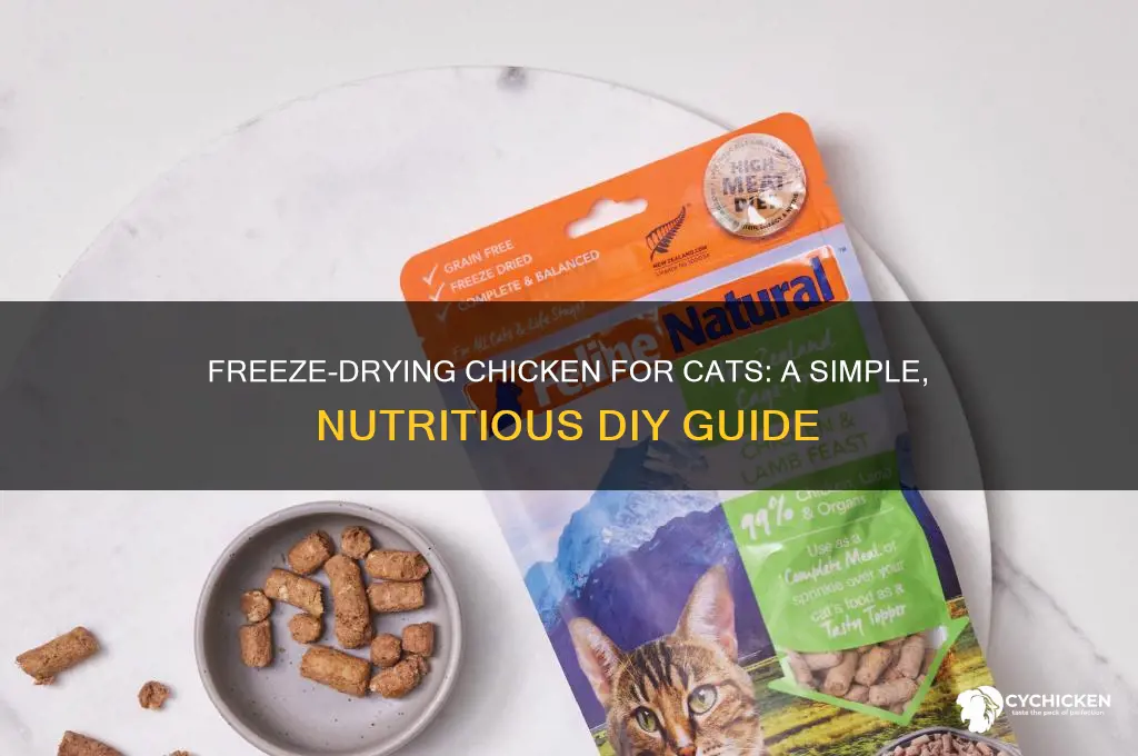 how to freeze dry chicken for cats