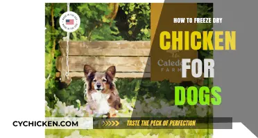 Freeze Drying Chicken for Dogs: A Simple, Nutritious Treat Guide