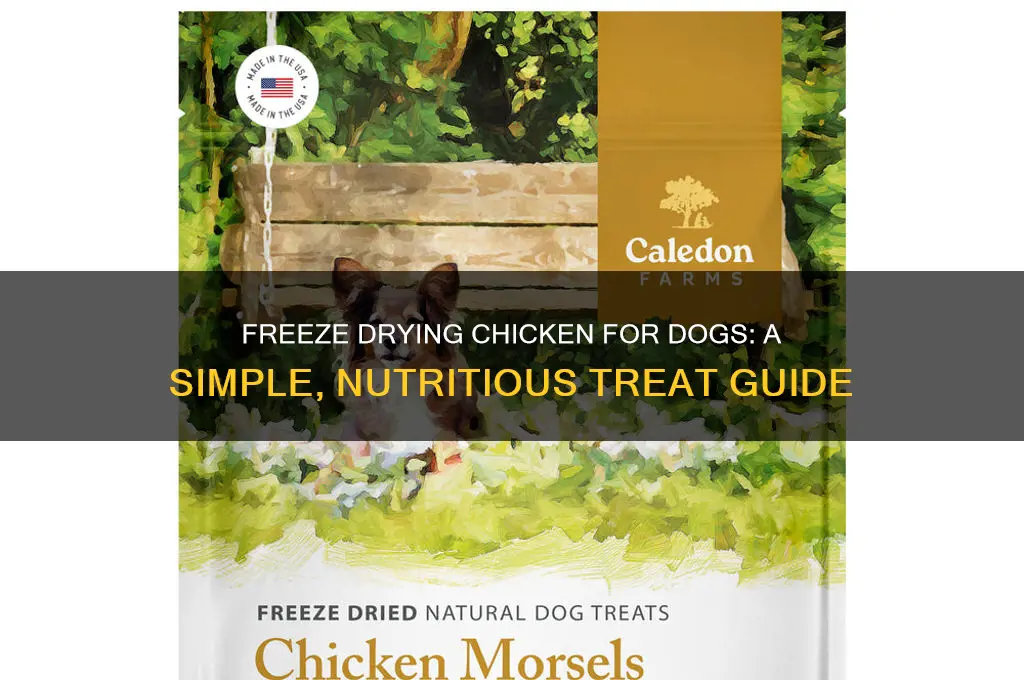 how to freeze dry chicken for dogs