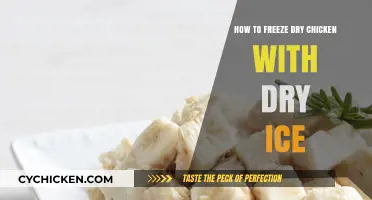 Freeze Drying Chicken with Dry Ice: A Simple DIY Guide