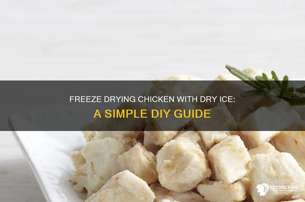 how to freeze dry chicken with dry ice