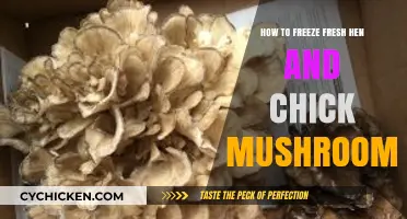Preserving Fresh Hen and Chick Mushrooms: A Simple Freezing Guide