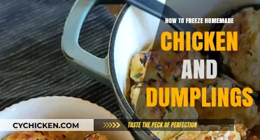 Easy Guide to Freezing Homemade Chicken and Dumplings for Later