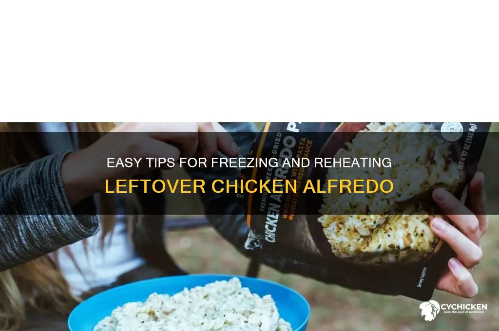 how to freeze left over chicken alfredo