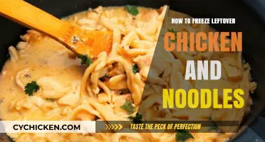 Easy Tips for Freezing Leftover Chicken and Noodles Safely