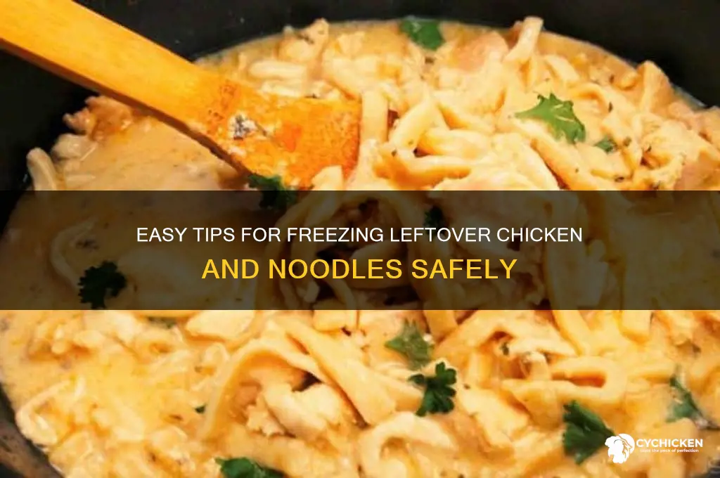 how to freeze leftover chicken and noodles