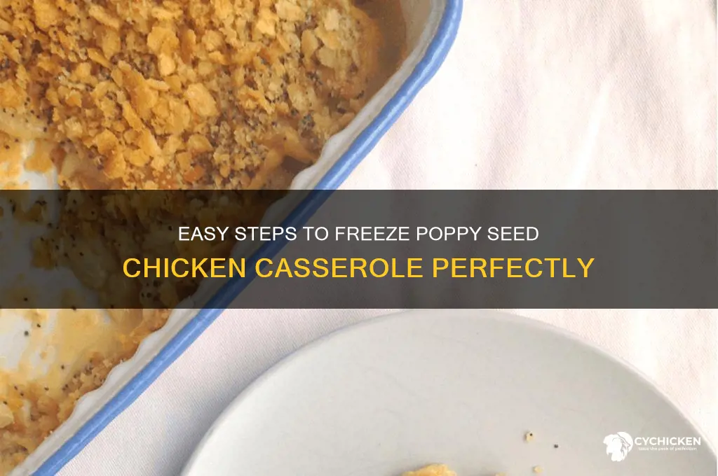 how to freeze poppy seed chicken casserole