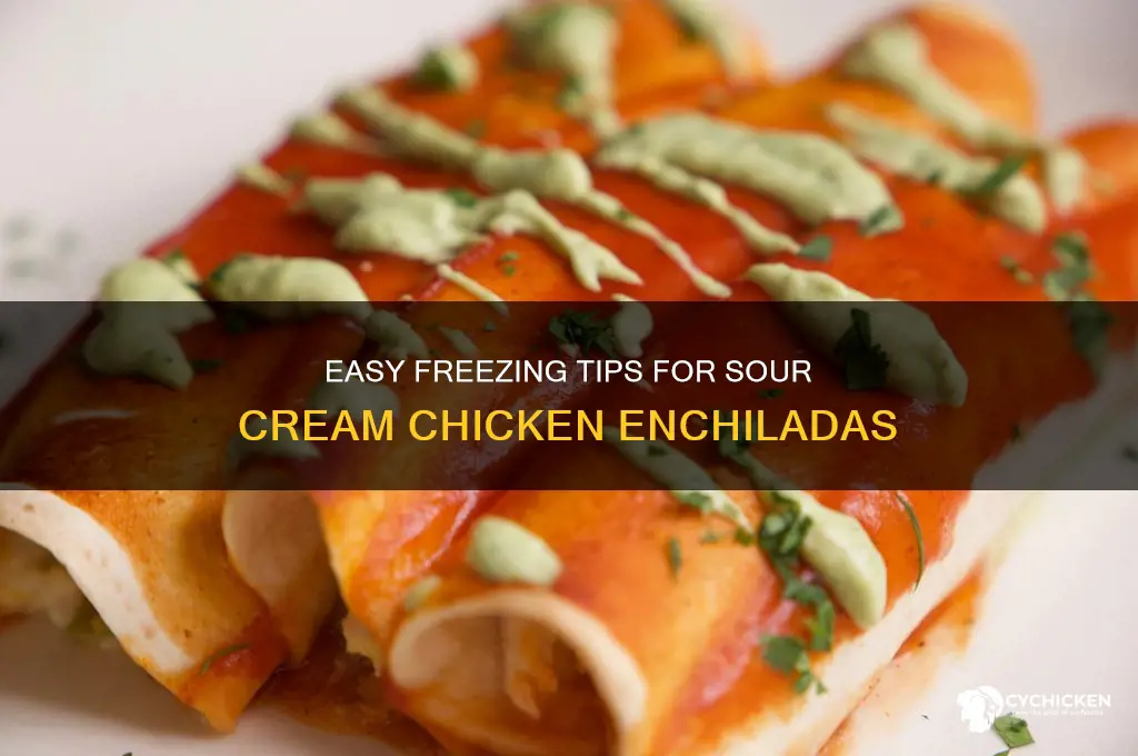 how to freeze sour cream chicken enchiladas