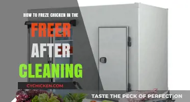 The Best Way to Freeze Chicken Post-Cleaning