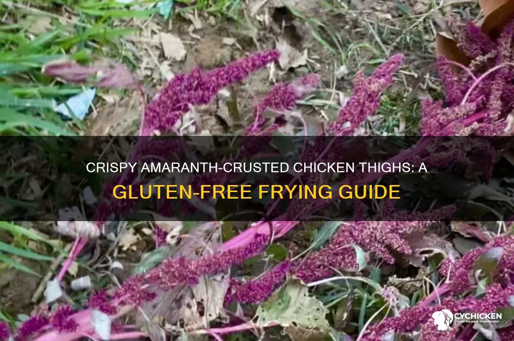 how to fry boneless skinless chicken thighs with amaranth flour