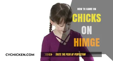 Mastering the Art of Gaming to Impress Chicks on Himge