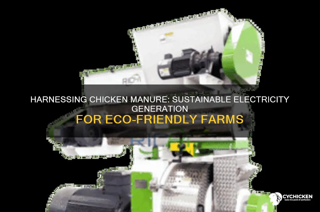 how to generate electricity from chicken manure