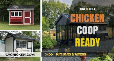 Prepping Your Chicken Coop: A Step-by-Step Guide