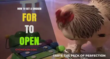 Cracking the Code: How to Get a Chicken to Open Up
