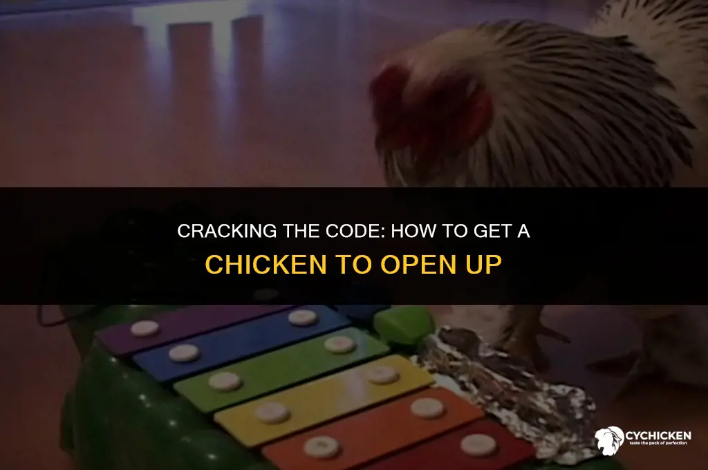 how to get a chicken for to open