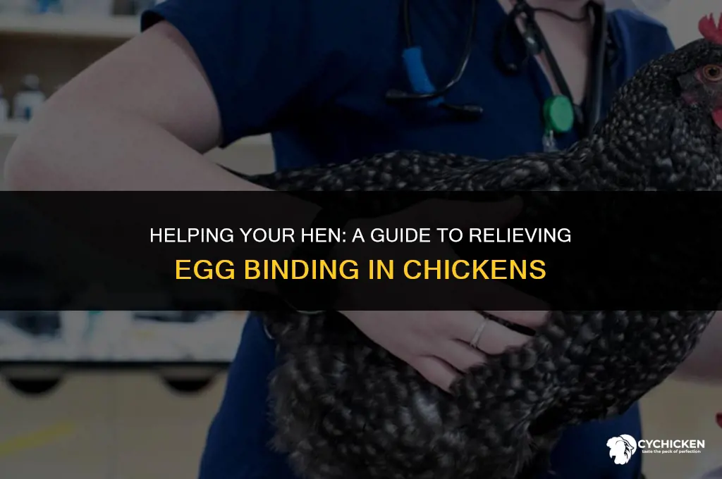how to get a chicken from being eggbound