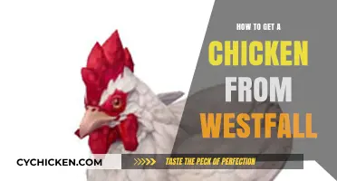 Westfall's Hidden Gem: Unveiling the Secret to Acquiring a Chicken