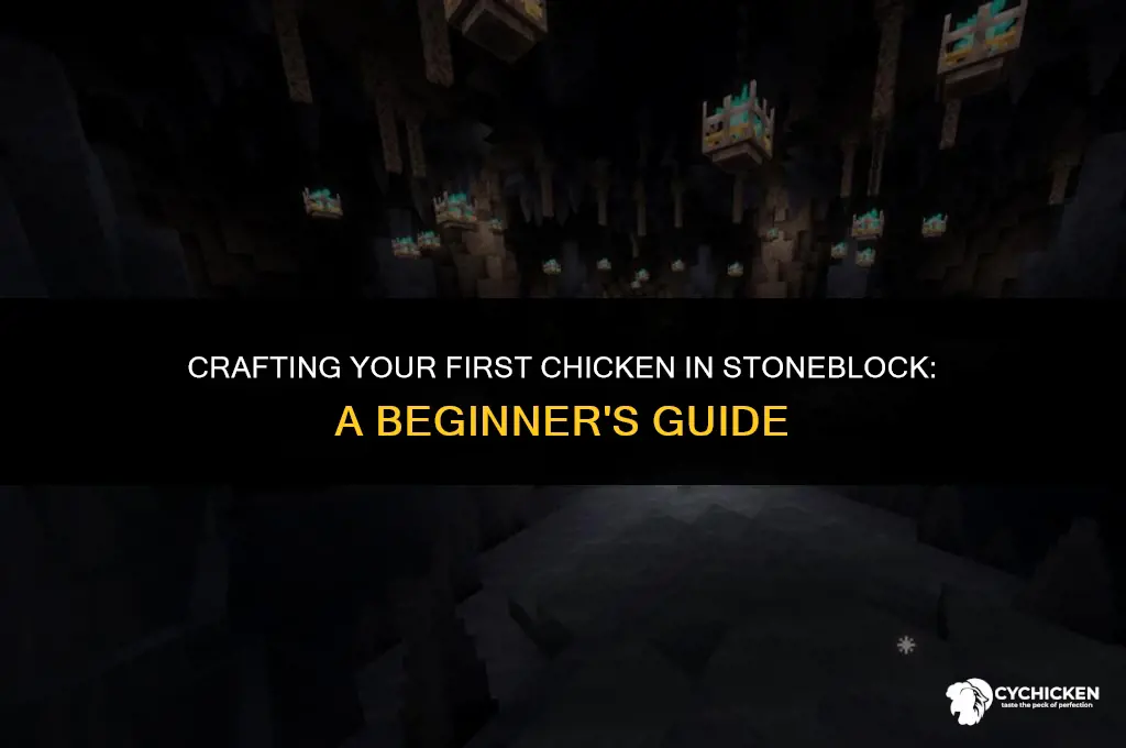 how to get a chicken in stoneblokc