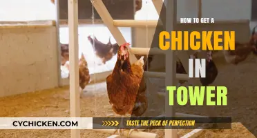 Conquering the Tower: A Guide to Acquiring Your First Chicken