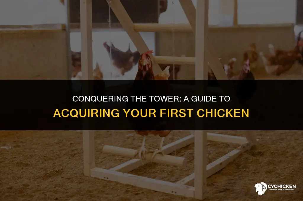 how to get a chicken in tower