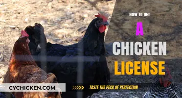 Navigating the Cluck-Bureaucracy: Your Guide to Obtaining a Chicken License