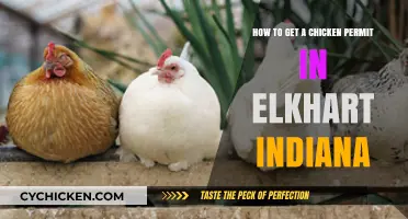 Navigating the Process: How to Obtain a Chicken Permit in Elkhart, Indiana